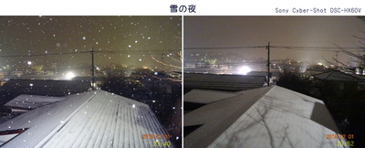 0201雪の夜.jpg