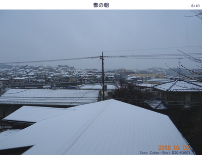 0202雪の朝.jpg