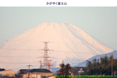 0309富士山.jpg