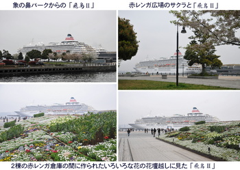 0331花と港と船c.jpg