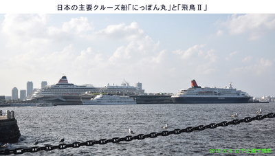 0809カモメと大桟橋.jpg