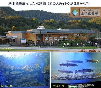 0921山の水族館.jpg