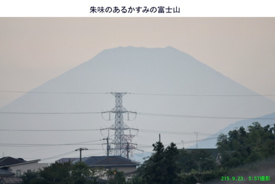 0923朱味の富士.jpg
