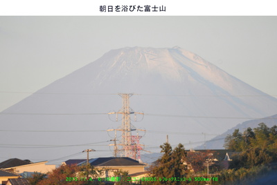 1104朝の富士山.jpg