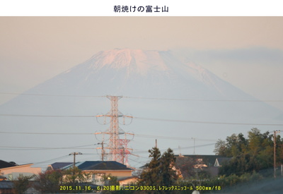 1116朝の富士山.jpg