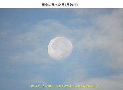 20160821西空の月.jpg
